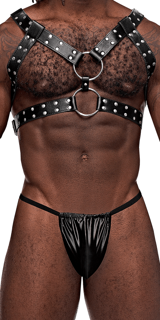 Male Power 591-266 Leather Gemini Harness Black