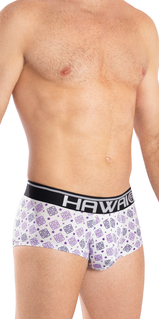 Hawai 42053 Assorted Colors Mini Trunks Purple