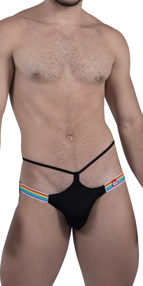 https://www.mensunderwearstore.com/cdn/shop/products/Pikante-8728-Pubs-Brief-In-Black.png?v=1605284513&width=1920