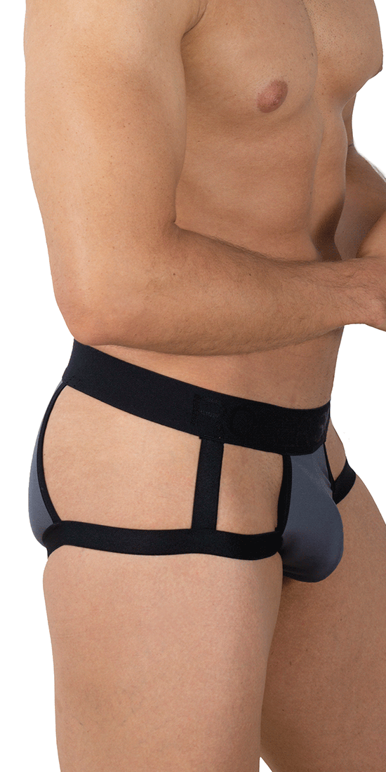 Roger Smuth Rs030 Briefs Gray